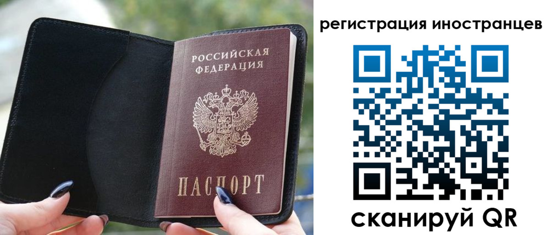 найти адрес прописки в Подпорожье